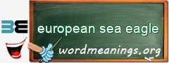 WordMeaning blackboard for european sea eagle